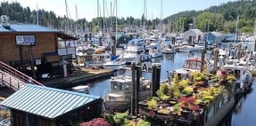 07165114_gibsons